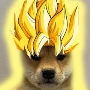 Meet your Posher, Ayeitsmeev